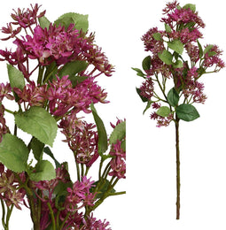 PTMD blossom bloem paars ixoratak met bladeren