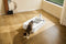 Petkit Purobot Crystal Duo - Automatische kattenbak - AI camera - Grijs
