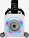 RockJam 10 Watt oplaadbare Bluetooth-karaokemachine met twee karaokemicrofoons - zwart