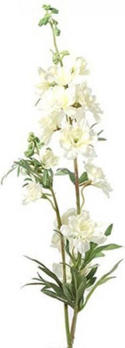 Delphinium Jesika Creme - 90 cm