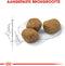 Royal Canin Fit - Kattenvoer Brokjes - Behoud ideaal lichaamsgewicht en voorkomt haarballen - 10 kg
