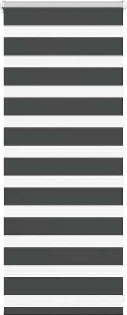 vidaXL - Zebra - rolgordijn - 60x100 - cm - stofbreedte - zwart - 55,9 - cm