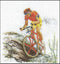 Thea Gouverneur - Borduurpakket met telpatroon - 3035A - Voorgesorteerde DMC Garens - Mountainbike - Aida - 16 cm x 17 cm - DIY Kit