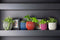 Capi Europe - Bloempot bol Groove Colours - 9x8 - Donkerblauw - Opening Ø7.2 - Bloempot voor binnen - 5 jaar garantie - BGVDB139