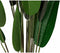 Decoratieve plant DKD Home Decor Groen PE Paradijsvogel (50 x 50 x 160 cm)