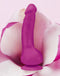 Gvibe - Greal Mini Fuchsia