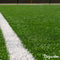Pro Turf & Gazonmeststof (20kg, 665m2) - Speciaal voor Grote Gazons, Sportvelden & Golfbanen - Gefaseerde Afgifte - Gazonmeststof - Meststof Gazon - Voor een Diepgroen Sterk Gazon Zonder Mos en Onkruid - NPK+Mg+S (20+5+8 +4 +9) - Organifer