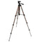 Falcon Eyes FT1120 - Aluminium Statief - 3-poten - Balhoofd - Max hoogte 110cm