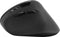 Speedlink PIAVO - Ergonomische Verticale Muis - Draadloos 2,4GHz - 1600dpi