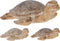 Decoratie Schildpad ( 1 stuk assorti)