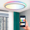 Calex Halo Slimme Plafonnière - Smart Plafondlamp 30cm - RGB en Warm Wit Licht - Wit