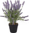 Beliani LAVENDER PLANT - Kunstplant - Groen - Kunststof