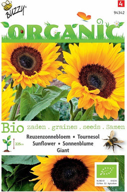 5 stuks - Buzzy - Organic Zonnebloem giganteus (Skal 14725)