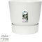 Choice of Green - Dracaena Janet Lind in Greenville Elho® pot wit - Hoogte 100 cm - Diameter pot 27 cm