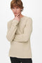 ONLY & SONS ONSPANTER 12 STRUC CREW KNIT NOOS - Heren Trui - Gebreid - Maat S