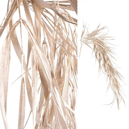 PTMD Leaves Plant Kunststruik Hangend - 74 x 18 x 84 cm - Champagne