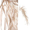 PTMD Leaves Plant Kunststruik Hangend - 74 x 18 x 84 cm - Champagne