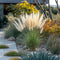 Plant in a Box - Miscanthus Gracilimus - Set van 2 - Siergrassen - Pot 23cm - Hoogte 40-60cm