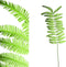 PTMD Fern Plant Varen Kunstblad - 85 x 25 x 140 cm - Groen