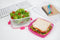 Sistema To Go - Vershouddoos - Salade Kom - 1.1L - Roze