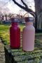 Retulp Urban - Waterfles - Drinkfles - 500 ml - Champagne Pink - RVS