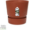 Dracaena Janet Lind in Elho® Greenville pot