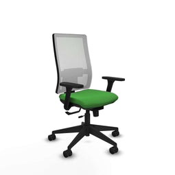 Piqueras y Crespo 3D066N0 - Bureaustoel - Verstelbare hoogte met armleuning - Groen