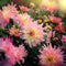 Plant in a Box - Dahlia Melody Gipsy - Set van 3 - Dahliaknollen - Prachtige zomerbloeier - Bloembollen