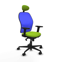 Jorquera Piqueras y Crespo 2D036N1 - Bureaustoel met hoofdsteun - Verstelbare hoogte - Pistache