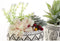 Decoratieve plant DKD Home Decor Hars Polyethyleen Cactus 12 x 12 x 18 cm (2 Stuks)
