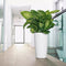 LECHUZA RONDO PREMIUM 40 - Plantenbak - met uitneembare binnenbak - met bewateringssysteem - ALL-IN-ONE set met LECHUZA-PON - wit hoogglans