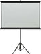 vidaXL - Projectiescherm - met - statief - 1:1 - 67''