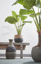 Mica Decorations Jorck Plantenmand - Set van 3 - Handgemaakt met plastic liner - Zwart (set van 3)