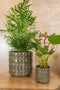 Ter Steege Bloempot Groen D 25 cm H 22 cm