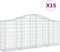 vidaXL - Schanskorven - 15 - st - gewelfd - 200x30x80/100 - cm - ijzer