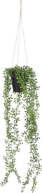 Mica Decorations Senecio Kunst Hangplant in Pot - H68 x Ø9 cm - Groen