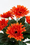 Mica Decorations Gerbera Kunstplant in Bloempot Stan - H35 x Ø30 cm - Oranje
