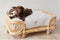 OYOY Otto Hondenmand Medium - Rotan - H30 x L69 x B55 cm