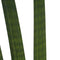 Duo Sansevieria Cylindrica ↨ 60cm - 2 stuks - hoge kwaliteit planten