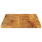 Tafelblad rechthoekig 120x50x3,8 cm massief mangohout
