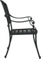 vidaXL - Tuinstoelen - - - Set - van - 2, - Zwart - Gietaluminium