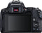 Canon EOS 250D - Spiegelreflexcamera - 24.1MP 4K video - Zwart