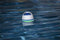 Bestway - bluetooth speaker - met LED verlichting & drijvend