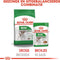 Royal Canin Mini - Adult - Natvoer Hond - Pouch - 12 x 85 g