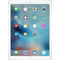 Apple iPad Pro (2017, A10 series) - Goud - 512 GB - WiFi + 4G