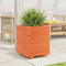 vidaXL - Plantenbak - 40x40x49,5 - cm - massief - grenenhout - wasbruin