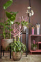 Mica Decorations Bloempot Carrie - 39x39x36 cm - Terracotta - Goud