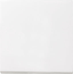 Gira bedieningswip- Systeem 55 - Knop voor schakelaar - Enkelvoudig - Zuiver wit mat