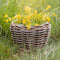 Drypot Bloemenmand Rond - XS