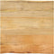 vidaXL - Tafelblad - met - natuurlijke - rand - 60x60x3,8 - cm - massief - mangohout
